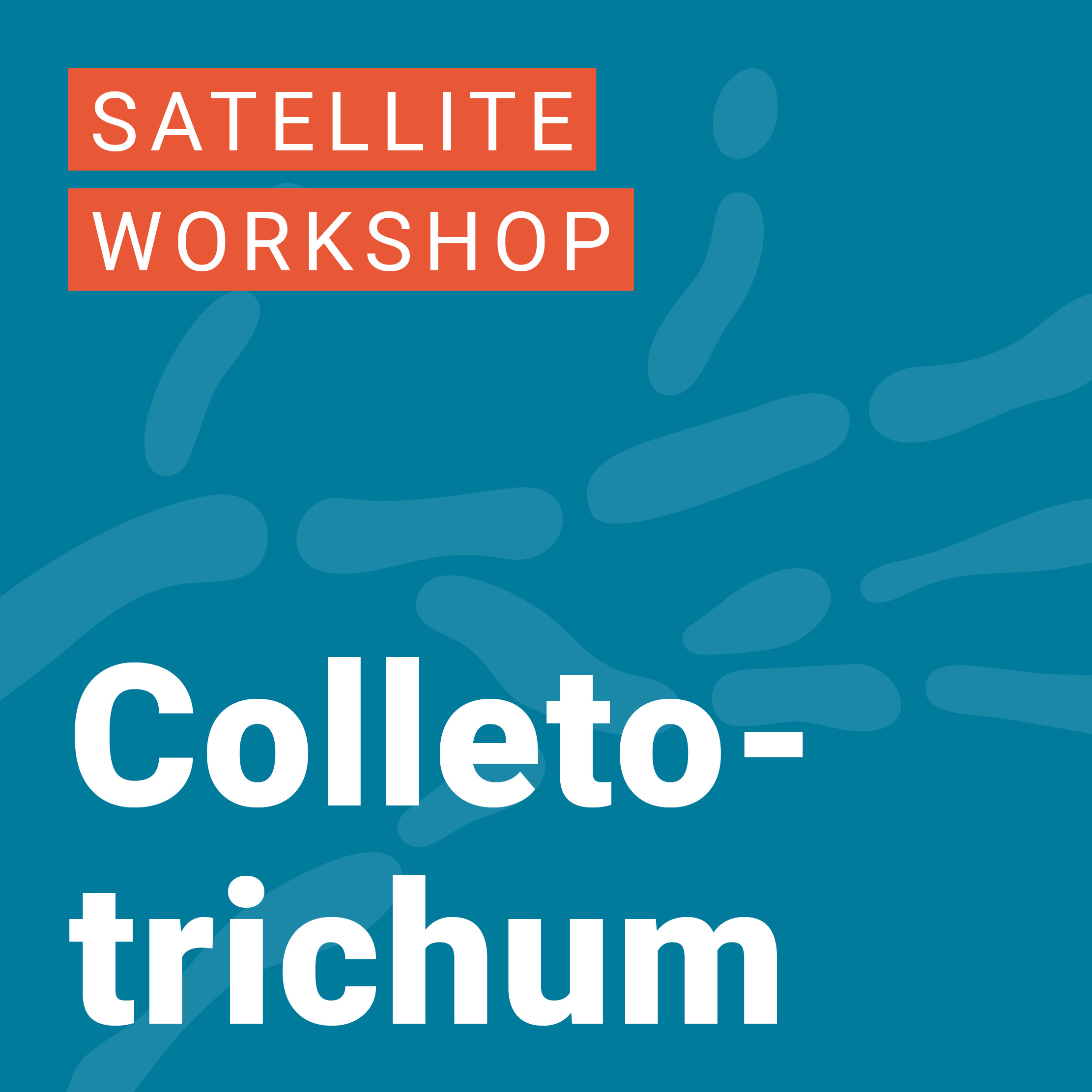 ECFG15-Workshops-Colletotrichum